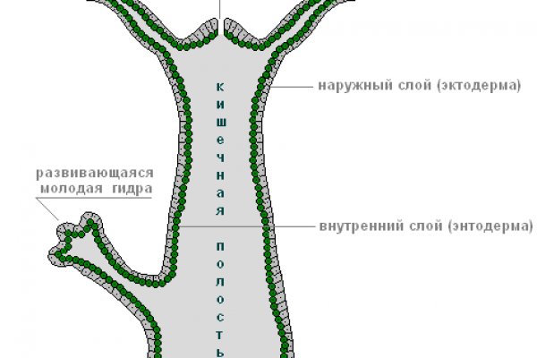 Площадка омг омг ссылка