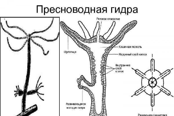 Ссылка омг омг в тор браузере omgomgweb